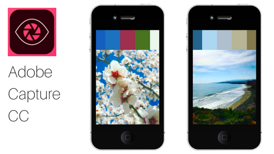 adobe-capture-cc-color-palette-generator